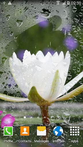 Oriental Live Wallpaper screenshot 3