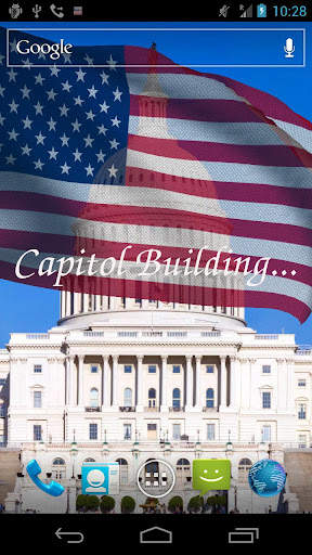 US Flag screenshot 2