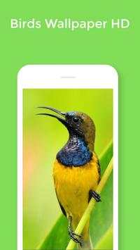 HD Best Birds Wallpaper 4K - Mobile Themes screenshot 5