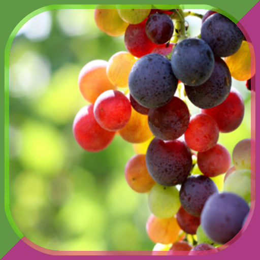 Grape Growing Secrets icon