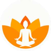 Daily Mudras