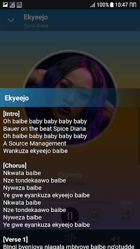 Spice Diana songs offline screenshot 1