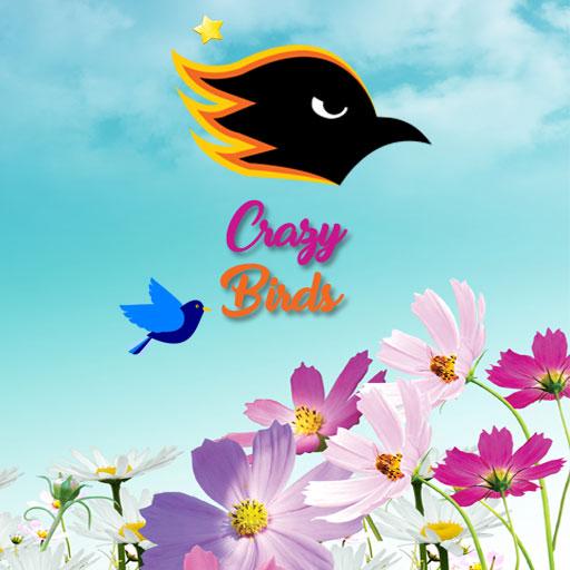 Crazy Birds icon
