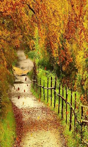 Best Scenery Live Wallpaper screenshot 3