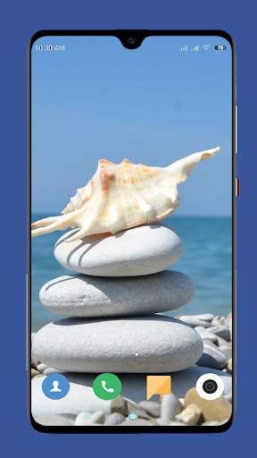 Seashell Wallpaper HD screenshot 1