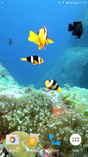 Colorful Fishes Live Wallpaper 5 تصوير الشاشة