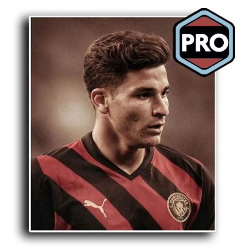 Julian Alvarez - WA Sticker 2.0