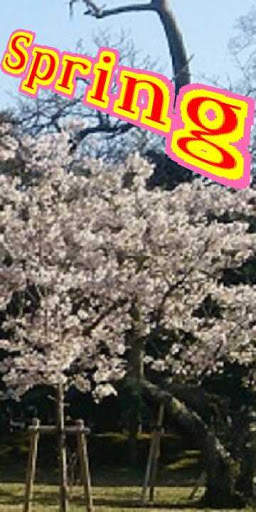 Add text on photo  -3D text on phonto screenshot 1
