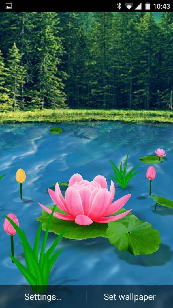 Flower Live Wallpaper 3D screenshot 1