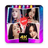 BlackPink Wallpaper Fans Kpop 1.0.0