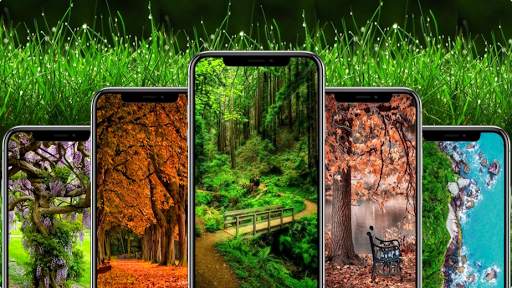 Nature Wallpaper screenshot 1