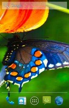 Butterfly Live Wallpaper screenshot 2