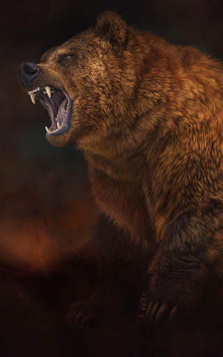 Bear Wallpapers | hd backgrounds screenshot 5