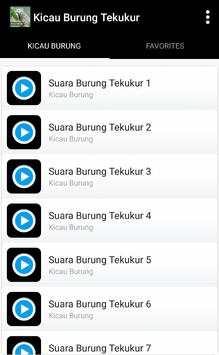 Kicau Suara Burung Tekukur screenshot 2