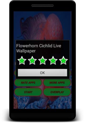 Flowerhorn Fish Live Wallpaper screenshot 2