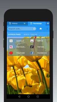 fc browser screenshot 1