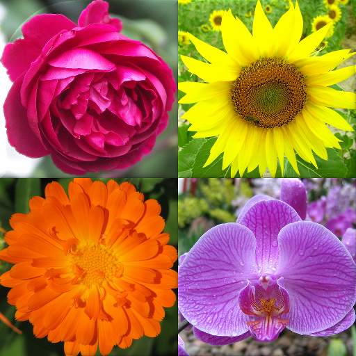 Flowers Quiz - Identify Plants 3.1.0