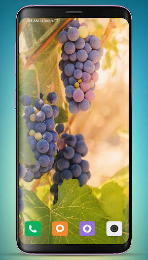 Grapes Wallpaper HD screenshot 7