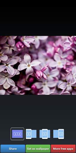 Lilac Wallpapers screenshot 7