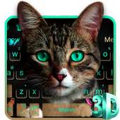 Cute Cat Meow Keyboard