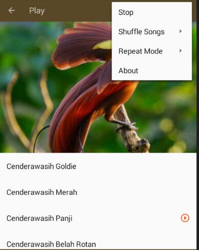 Kicau Burung Cenderawasih screenshot 5