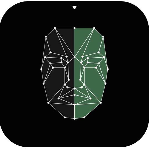 DeepFace App, REFace Swap Vide 4.1