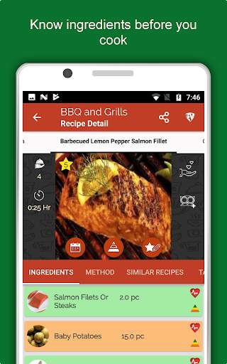 Barbecue Grill Recipes Offline screenshot 14
