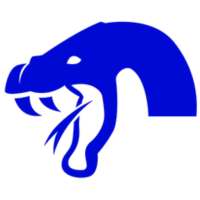 KOBRAS ULTRA MAX VPN SHOP logo