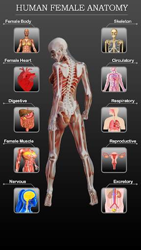 Female Anatomy 3D -Female Organs, Bones & Skeleton screenshot 1