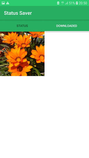 Status Saver screenshot 3