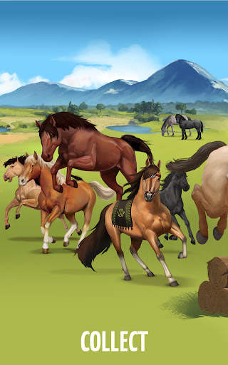 Howrse - Horse Breeding Game screenshot 3
