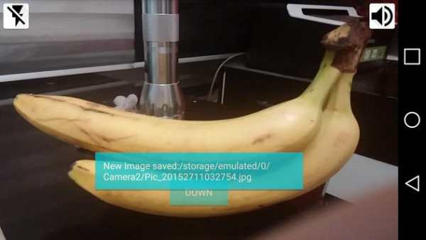 Volume Button Camera screenshot 1