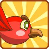 Rescue My Bird