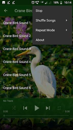 Crane Bird Sounds screenshot 4