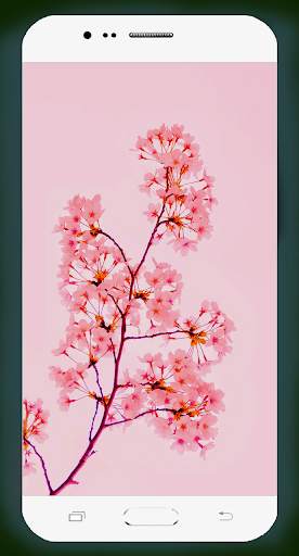 Sakura Wallpaper HD screenshot 16