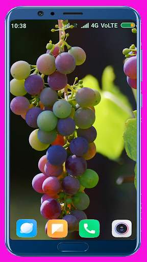 Grapes HD wallpaper screenshot 1