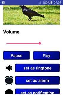 Birds Songs and Sounds (HD Sounds) screenshot 1