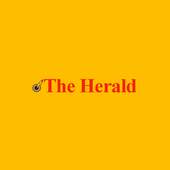 The Herald, Zimbabwe 3.0