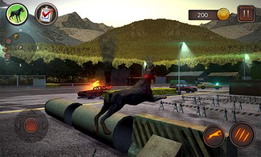 Simulator Anjing Doberman screenshot 1