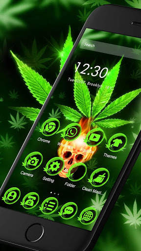 Green Weed Fire Skull Theme screenshot 3