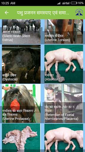 IVRI-Animal Reproduction App(पशु प्रजनन) screenshot 4