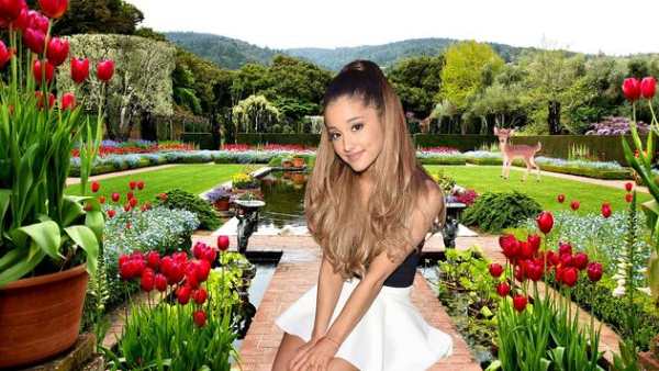 Garden Photo Frames 3 تصوير الشاشة