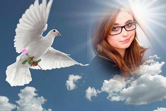 Cool Amazing Dove Photo Frames screenshot 2