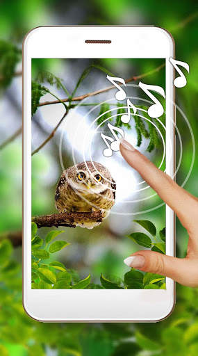 Owls Amazing Live Wallpaper screenshot 1