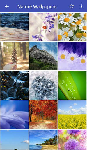 Nature Wallpapers HD screenshot 1