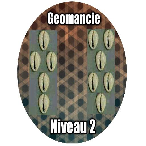 Initiation Géomancie Niveau ll 1.0