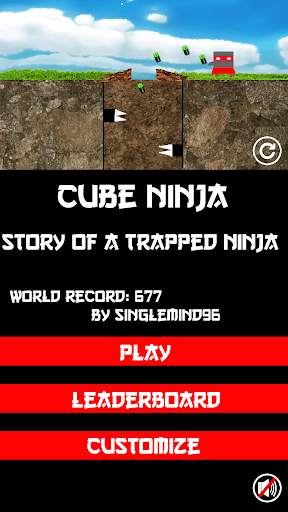 Cube Ninja screenshot 1