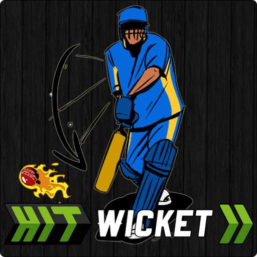 Hit Wicket Cricket 2018 - Indian League Game 7.0.0 IPL 2018