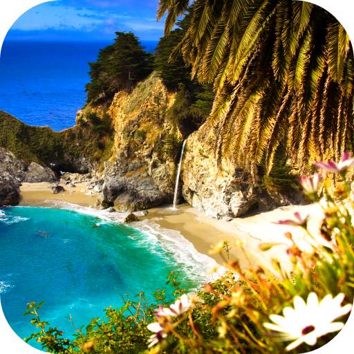 Video Wallpapers: Paradise Islands 9.0