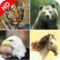 170 Animal Sounds on 9Apps